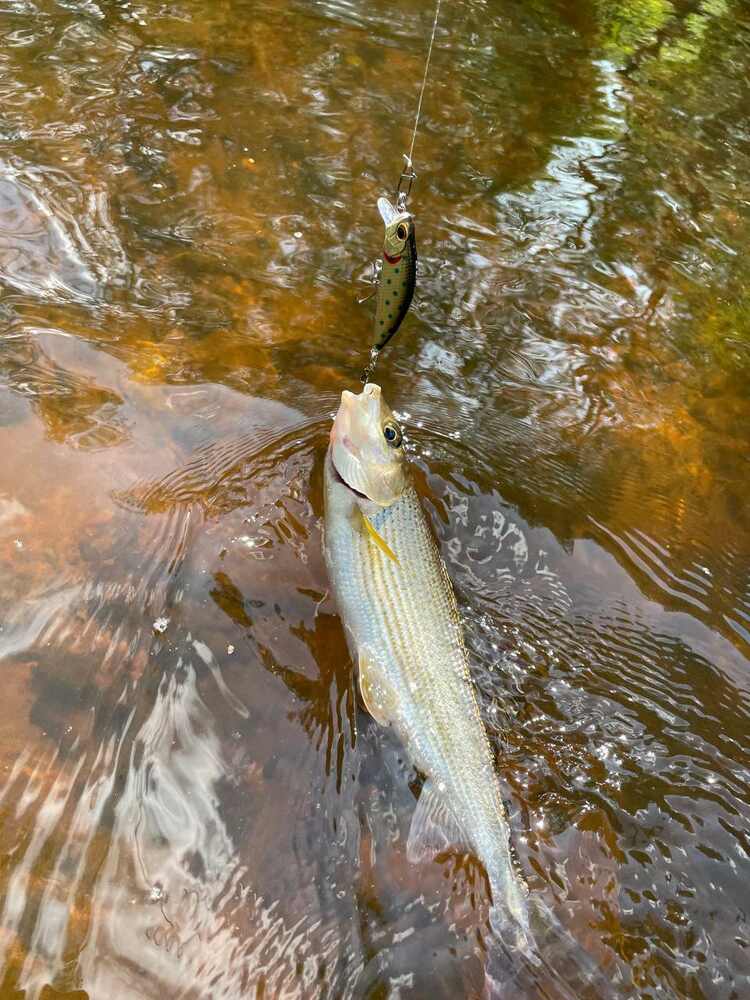 Воблер 45 мм № 61