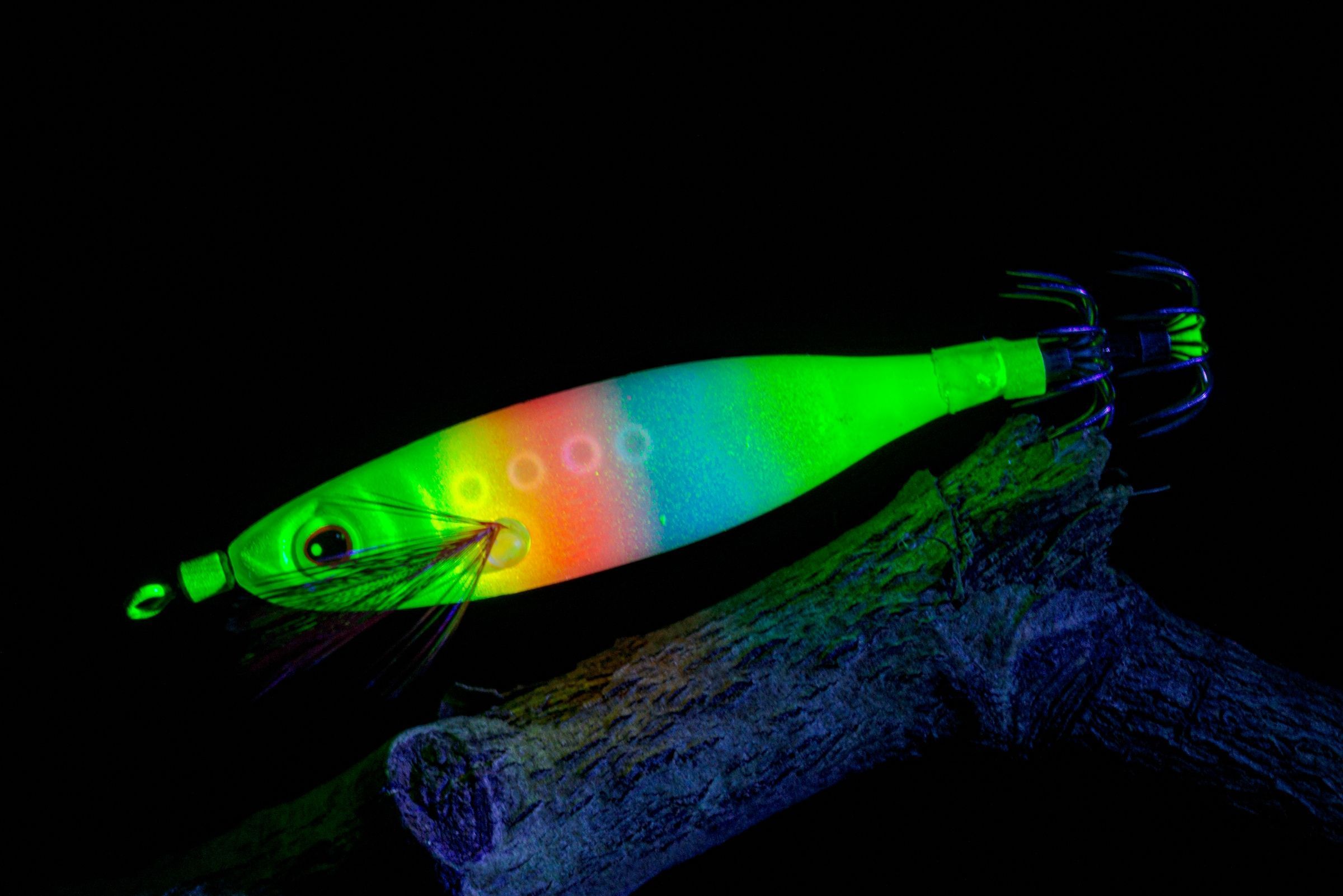 Кальмарница Candy Fish