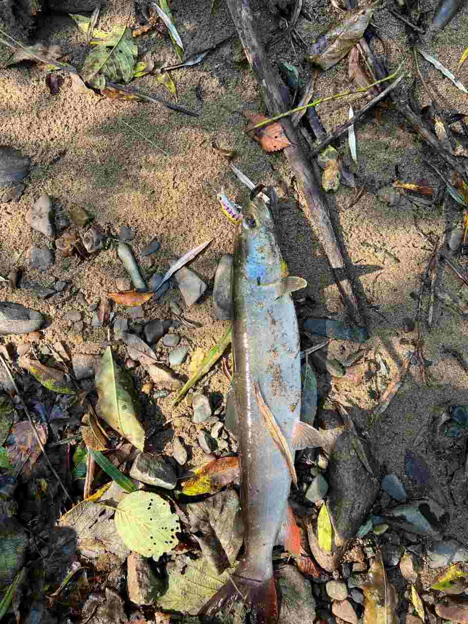 Воблер 45 мм № 38