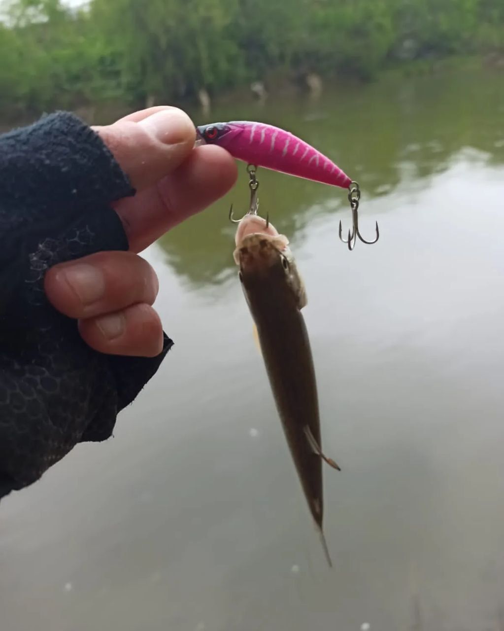 Воблер 55 мм № 20