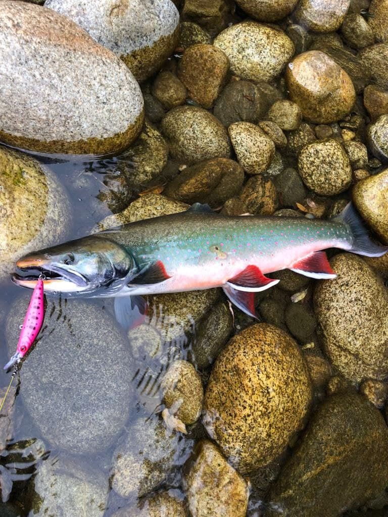 Воблер 80 мм 13 гр № 54