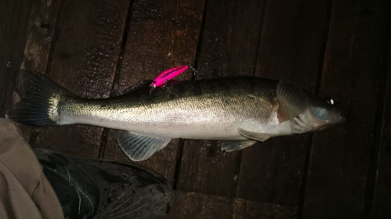  Воблер 80 мм 13 гр № 18 (тройник #6)