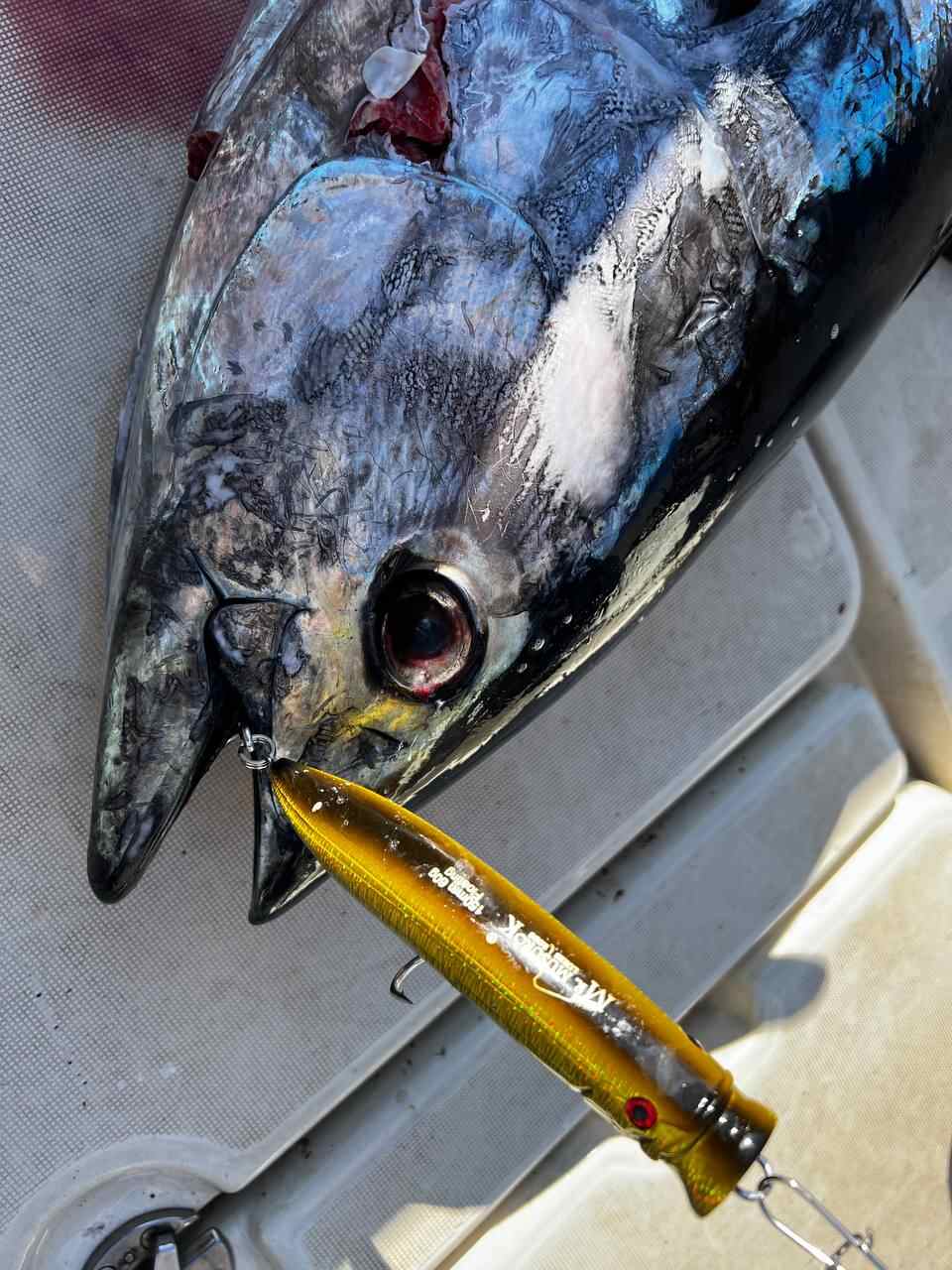 Поппер 150 мм 60 гр № 1