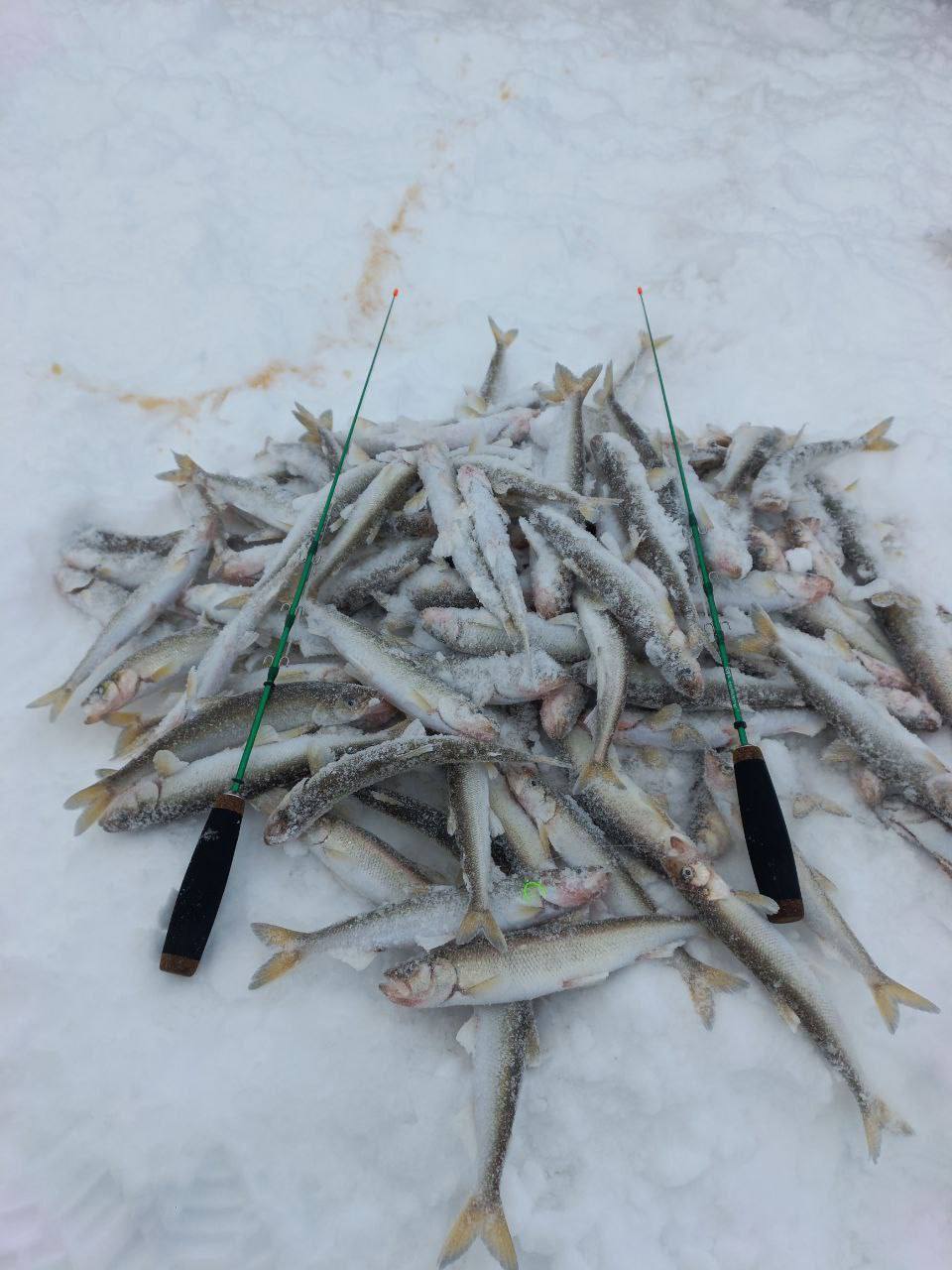 Блесна Огонь 1 см UV-вставка