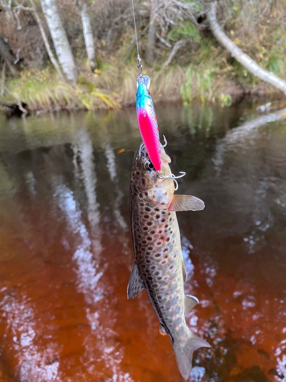 Воблер 55 мм № 35