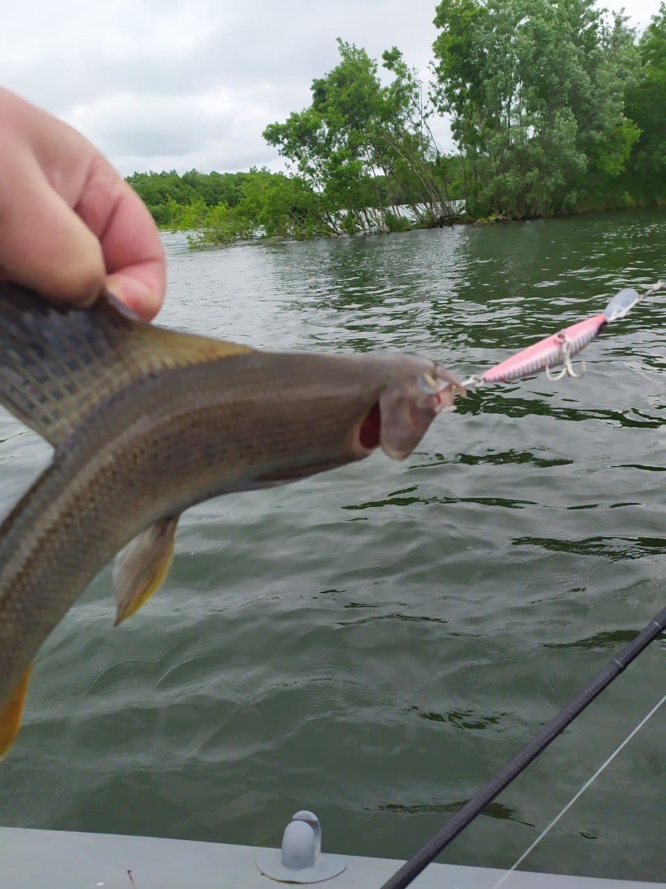 Воблер 90 мм, 25 гр № 25