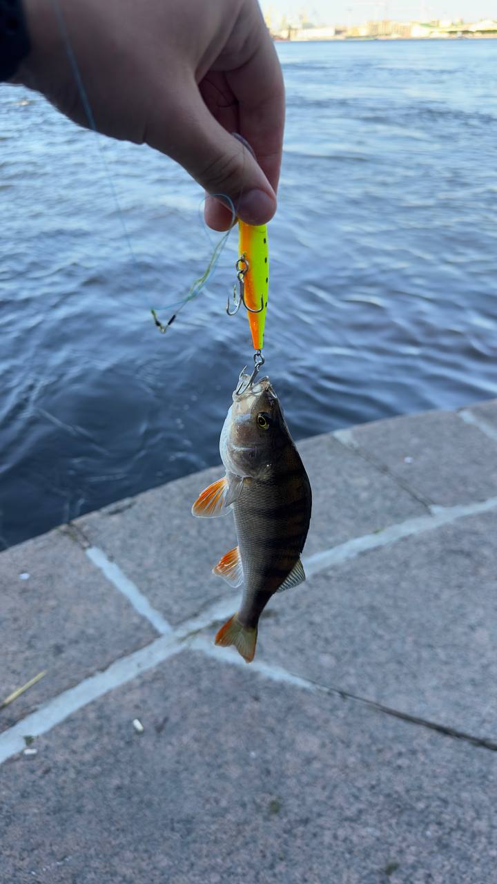 Воблер 80 мм 11 гр  № 107