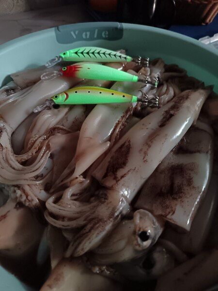 Кальмарный воблер 27 гр Blood Head