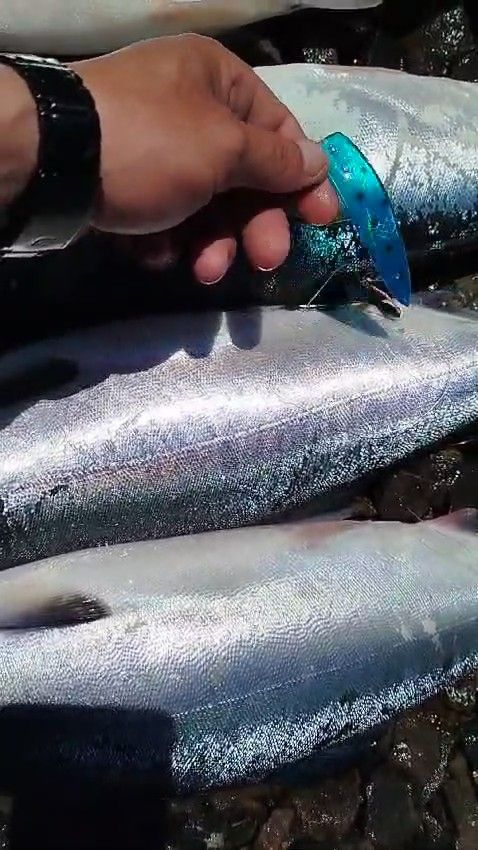 Блесна троллинговая Assist № 141