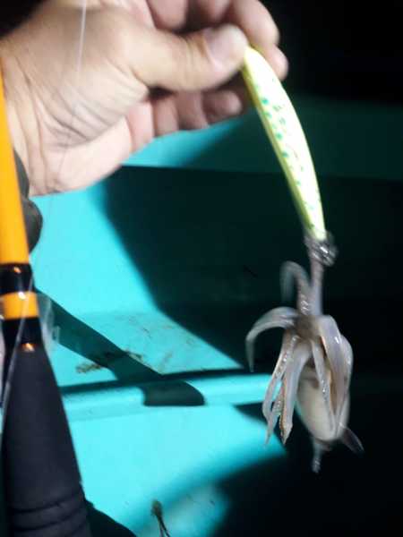 Кальмарный воблер Frog