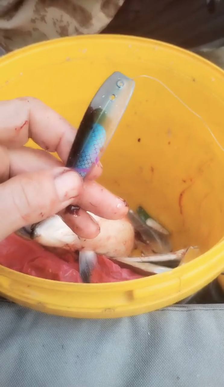 Блесна троллинговая Assist № 4