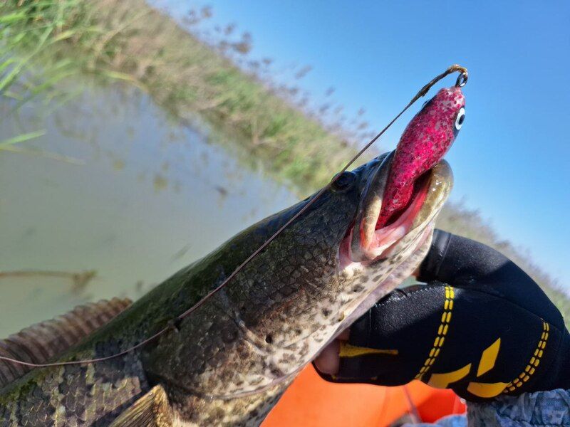 Лягушка 80 мм, 25 гр № 2