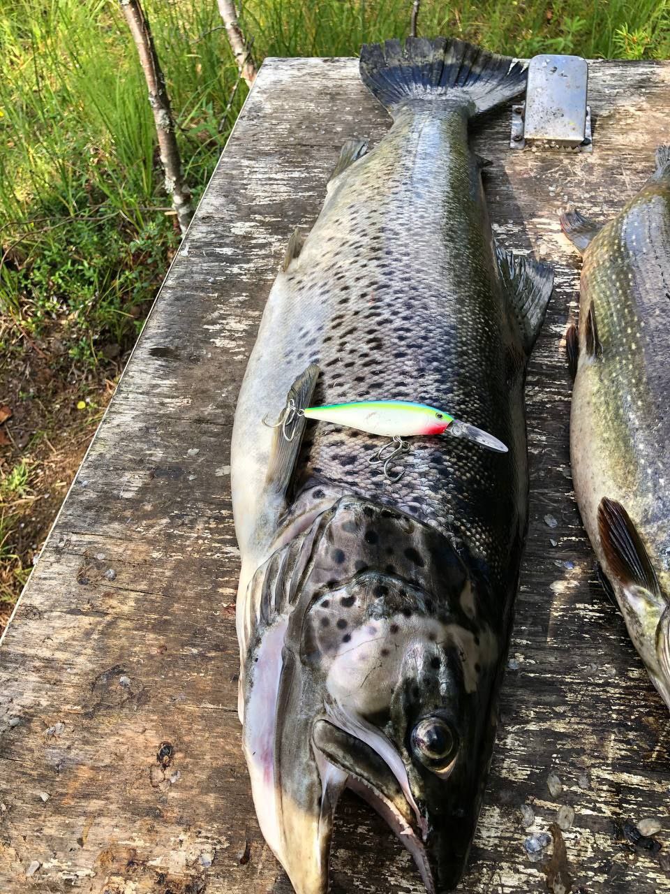 Воблер 80 мм 11 гр  № 105