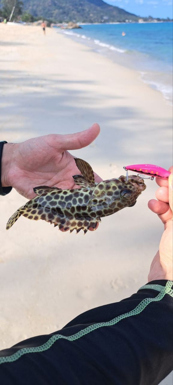 Воблер 55 мм № 18