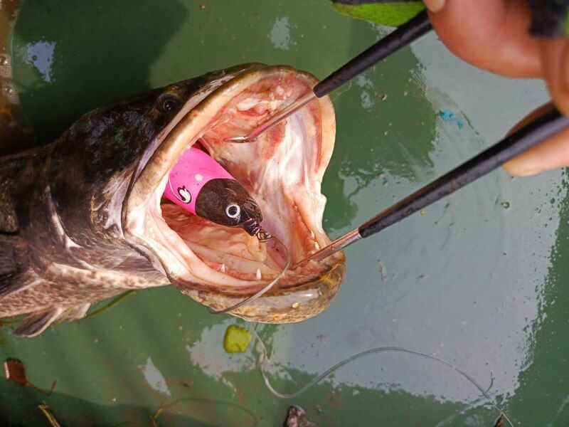 Лягушка 80 мм, 25 гр № 1