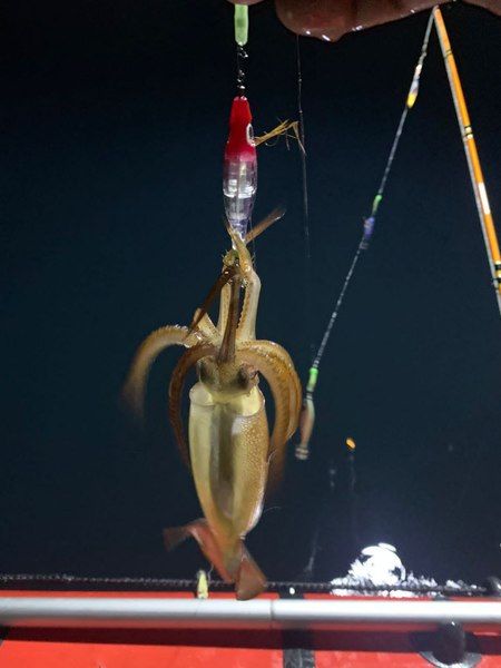 Набор на кальмара "Охотник"