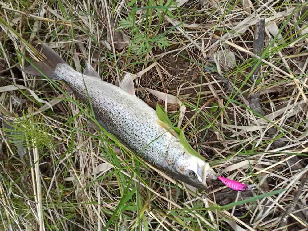 Воблер 55 мм № 20