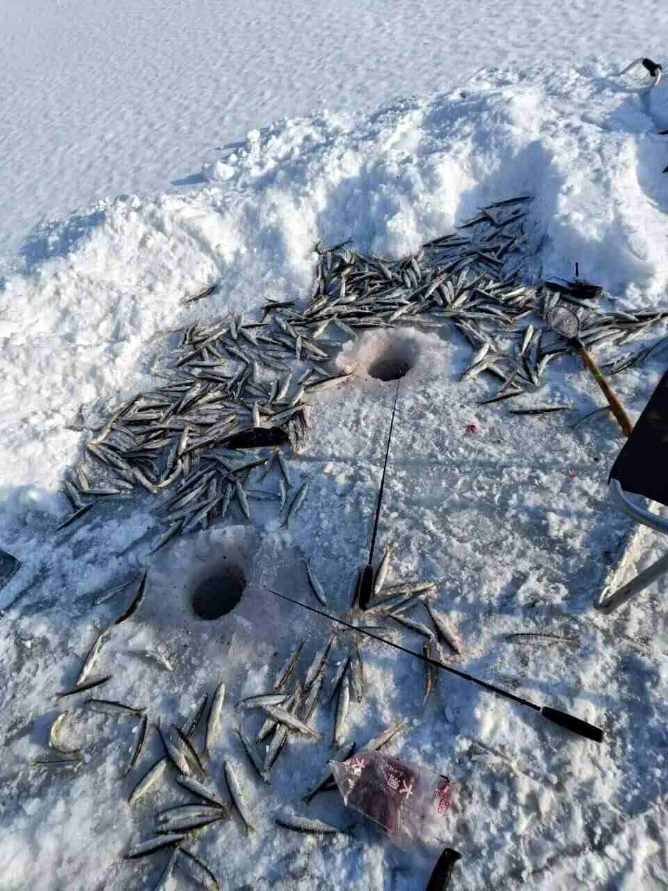 Блесна Богдановская 1 см