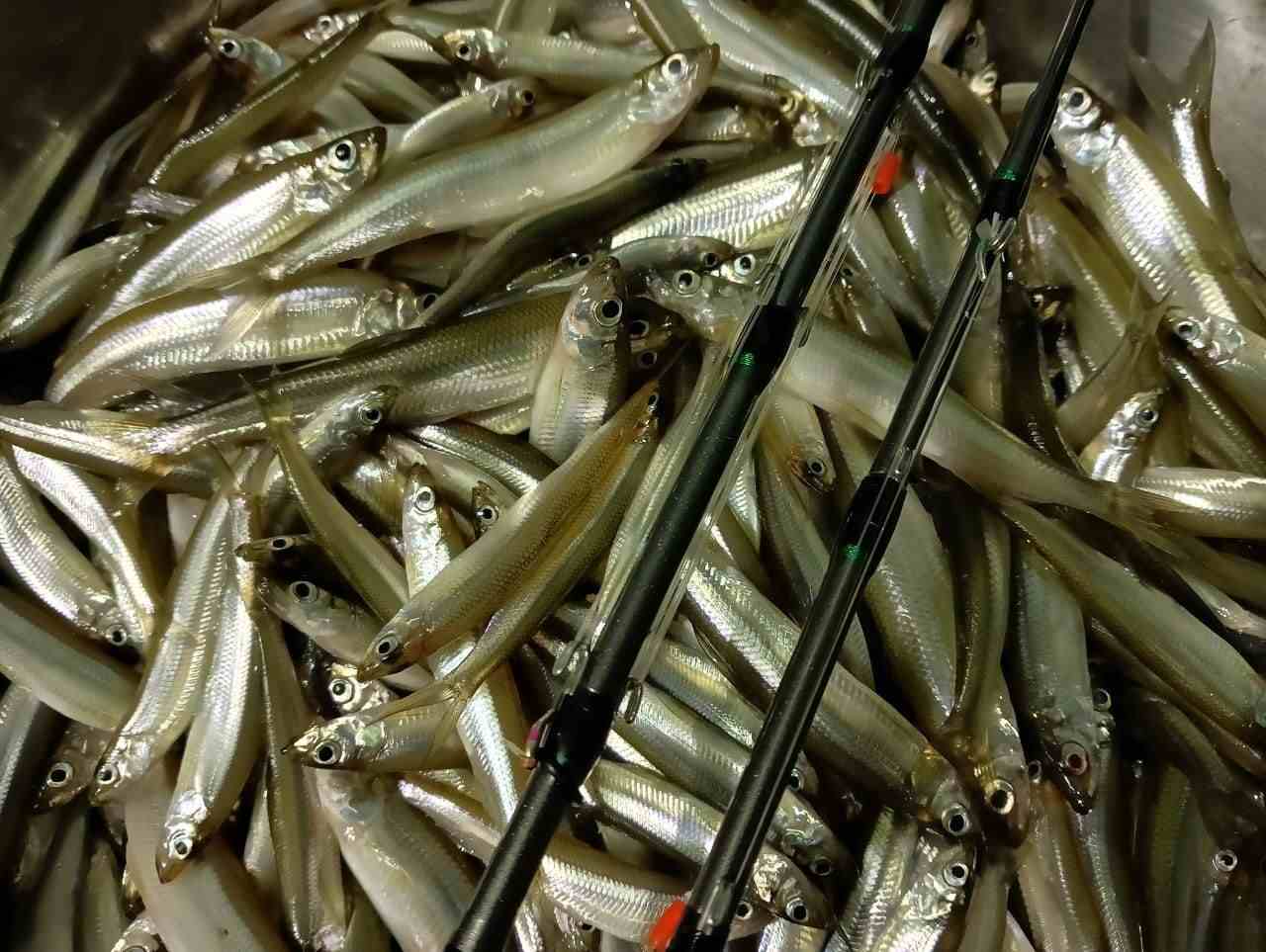 Блесна Флэш UV 1 см