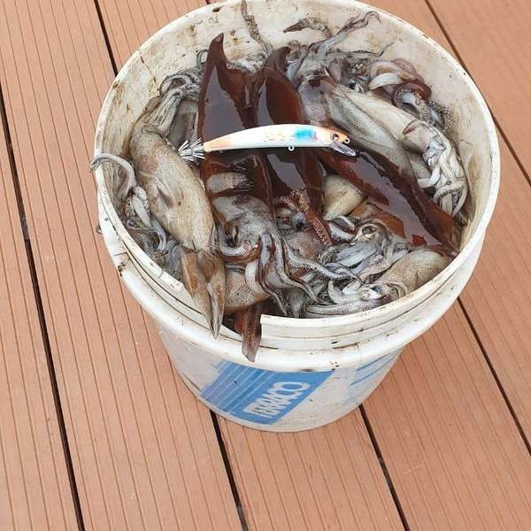 КАЛЬМАРНЫЙ ВОБЛЕР PARROT