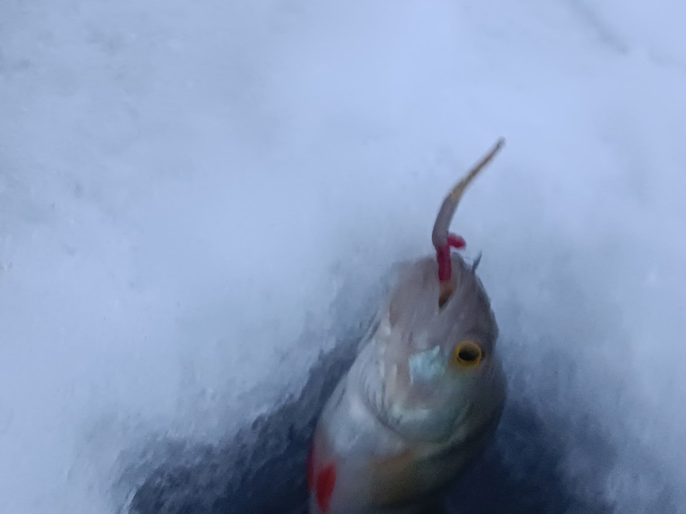 Блесна Охотник-мормышка