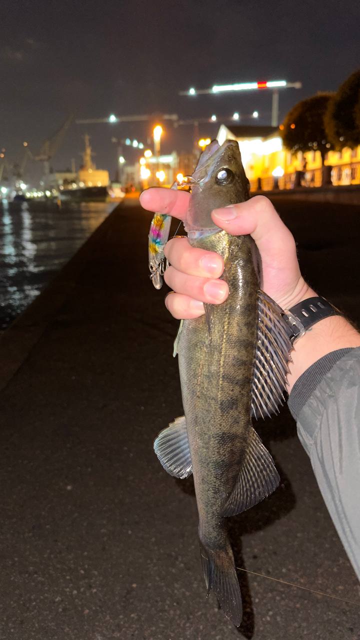 Воблер 95 мм (17гр) № 85