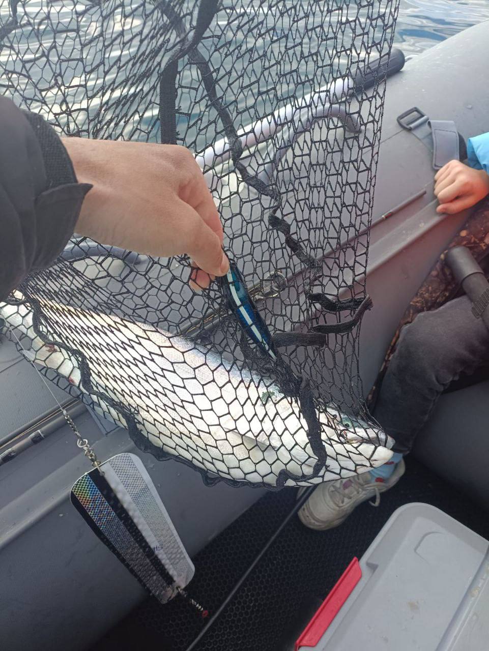 Блесна троллинговая Assist № 109