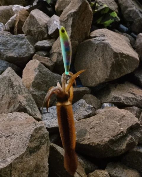 Кальмарный воблер JOKER (100мм 27гр)