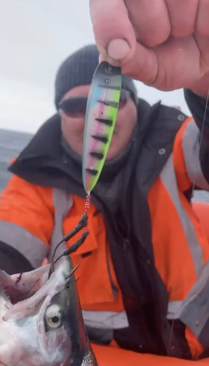 Блесна троллинговая Assist № 106