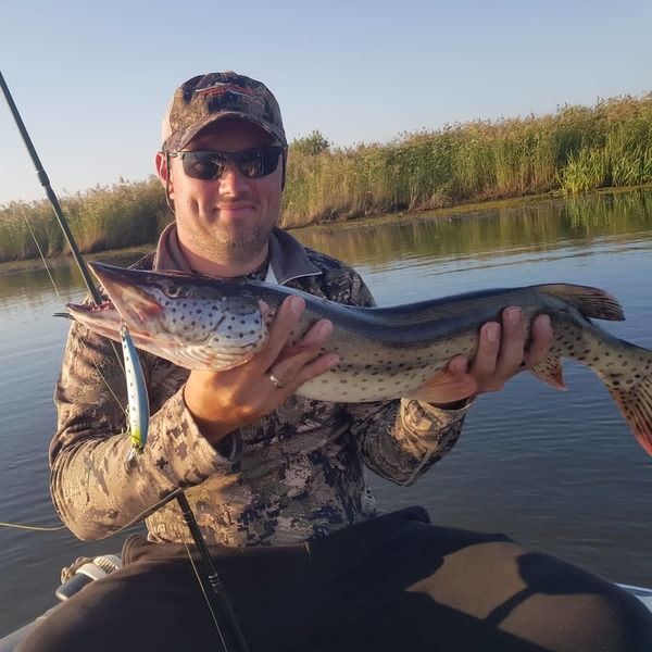 Воблер Anchovy 110 мм 17 гр.