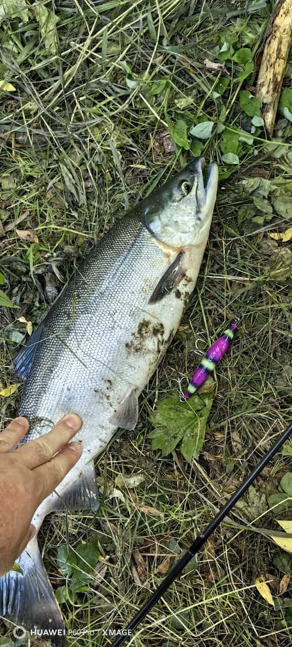 Воблер 90 мм, 25 гр №  57