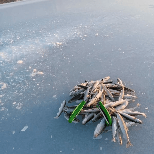 Комбайн на Зубаря/Навагу