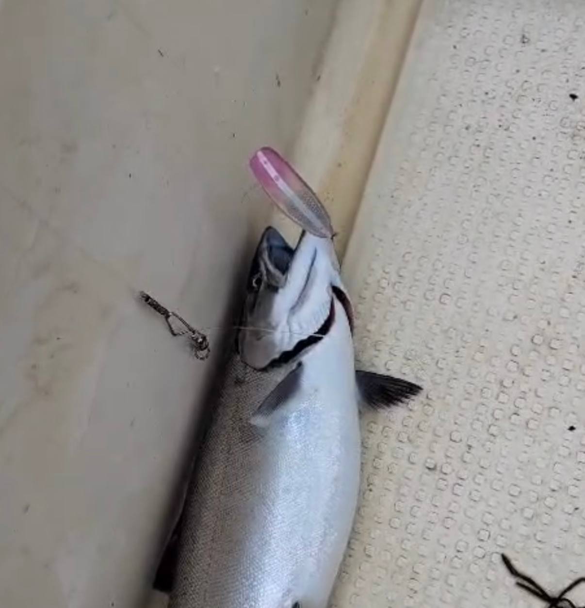 Блесна троллинговая Assist № 2