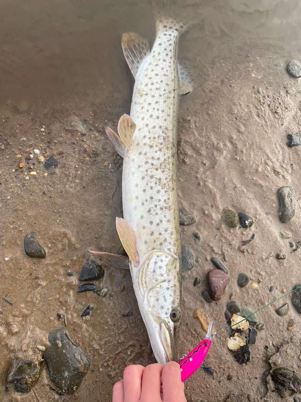 Воблер 90 мм, 25 гр № 18