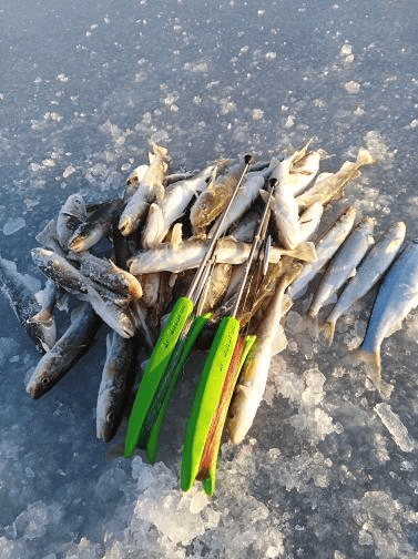 Комбайн на Зубаря/Навагу