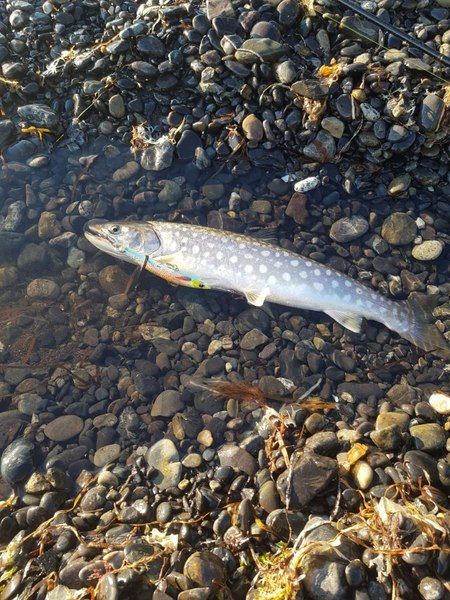 Воблер Fishka 110 мм 17 гр.