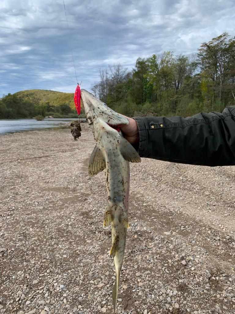  Воблер 80 мм 13 гр № 18 (тройник #6)