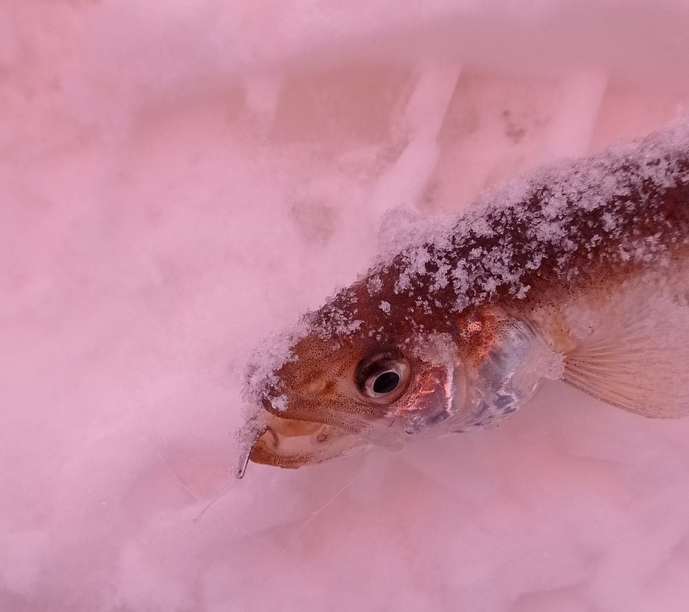 Блесна Удача-мормышка