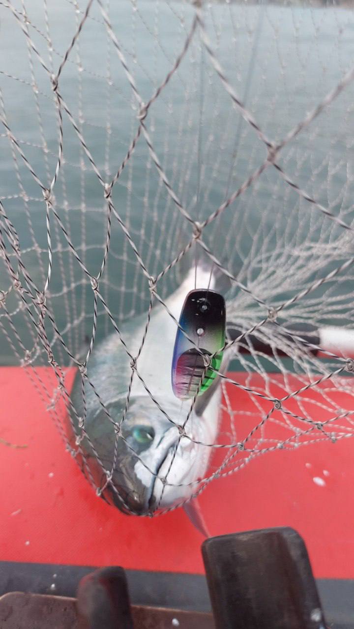 Блесна троллинговая неоснащенная № 106 (NEW)