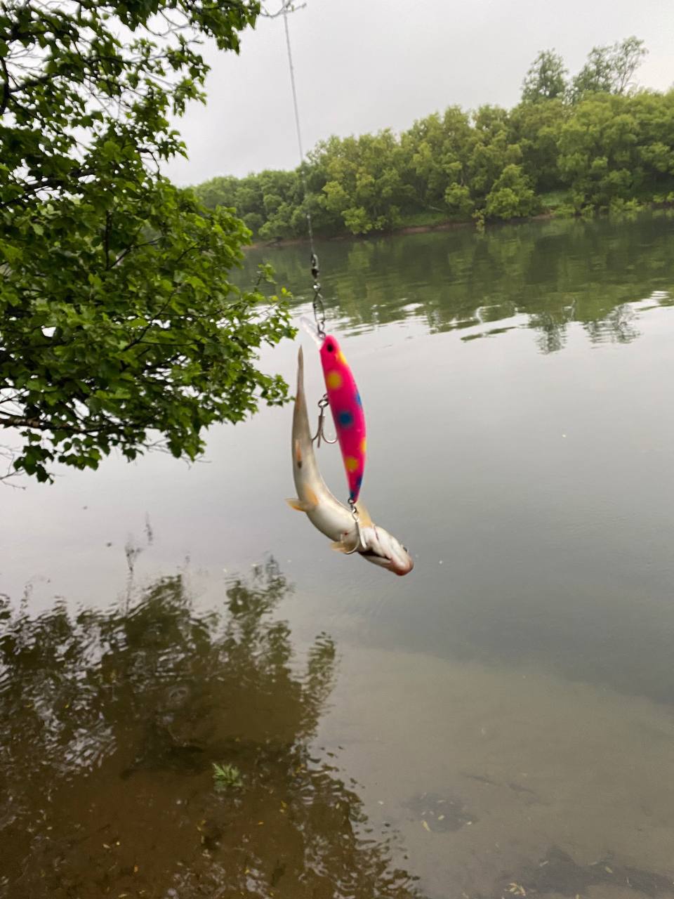 Воблер 80 мм 14 гр  № 75