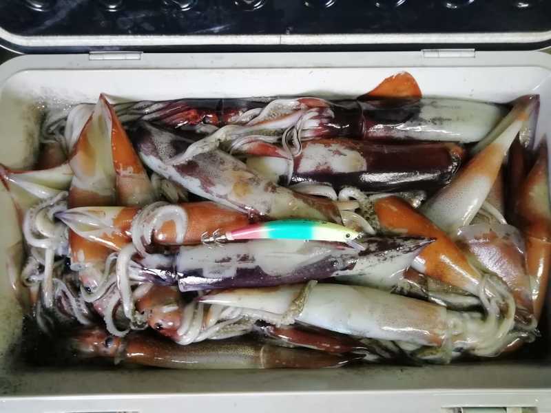 Кальмарный воблер Triple Glow