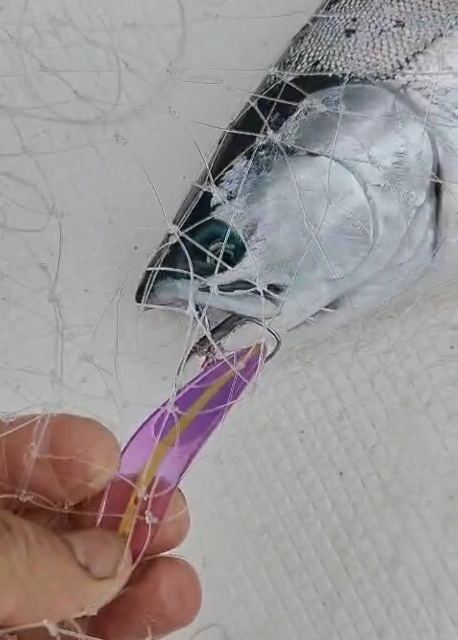 Блесна троллинговая Assist № 1