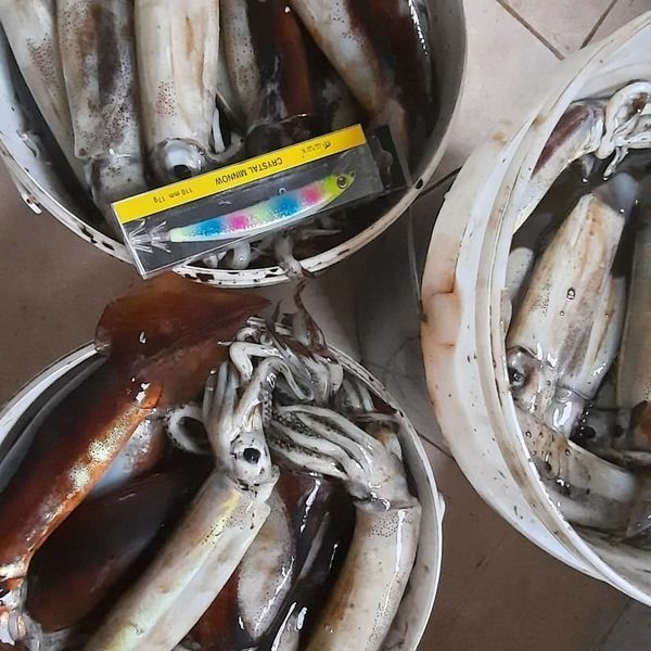 Кальмарный воблер RAINBOW Y 17 гр