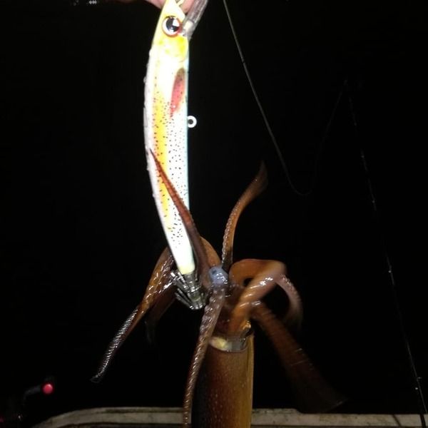 Кальмарный воблер FISHKA