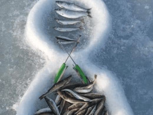 Комбайн на Зубаря/Навагу