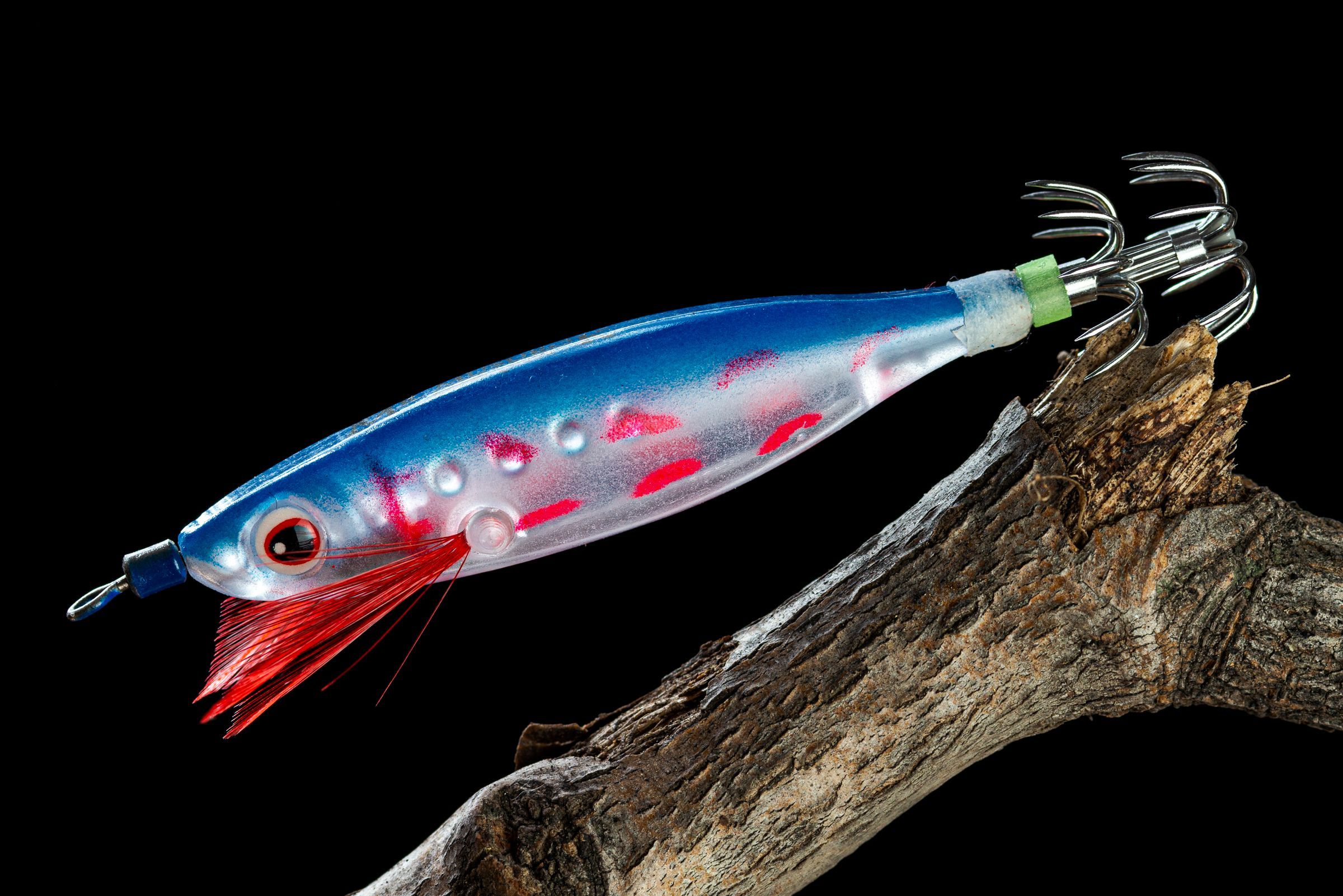 Кальмарница Blue Bloody