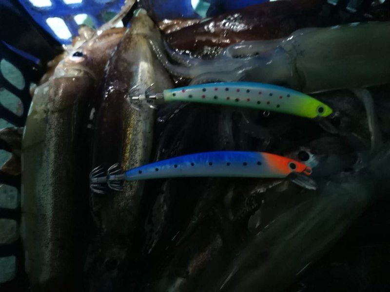 Набор на кальмара "Охотник"