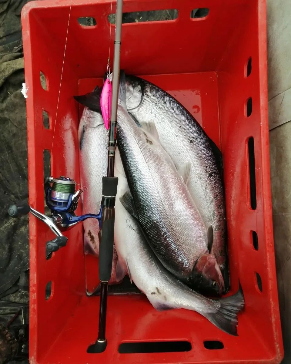  Воблер 80 мм 13 гр № 18 (тройник #6)