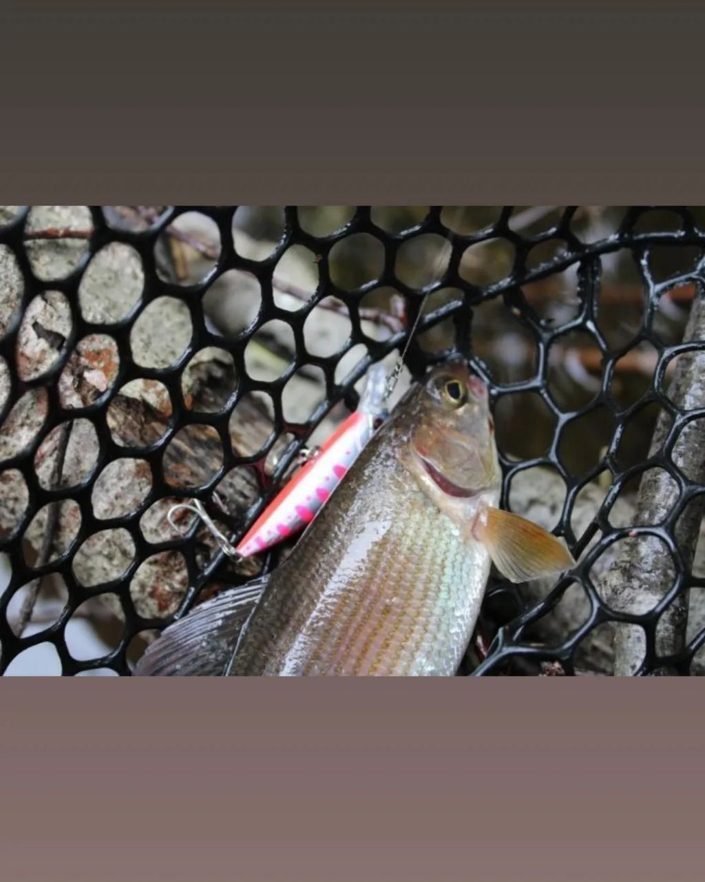 Воблер 55 мм № 35