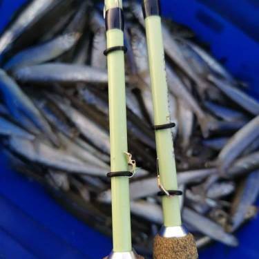 Блесна Бокоплав